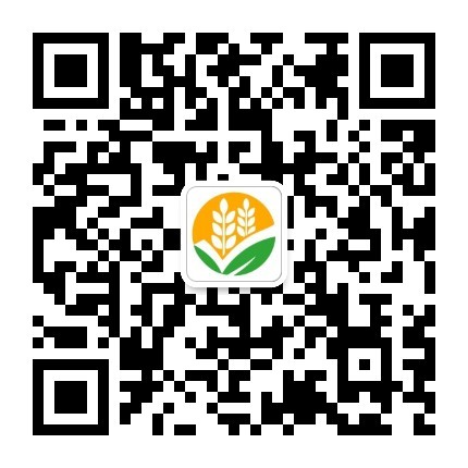 关注公众号